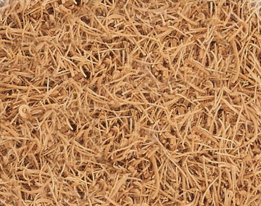 Dried Wild Ginseng Cultured Root